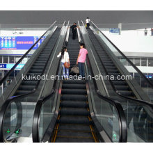 Escalator for Railway Station or Other Public